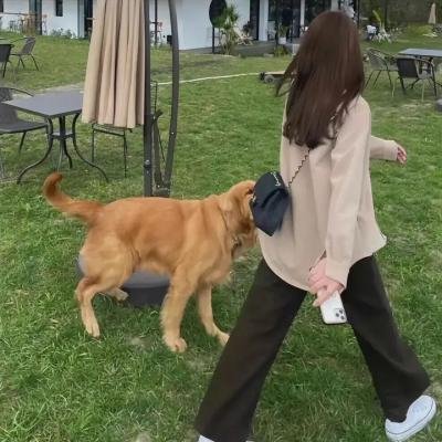 月光光心慌慌:终结